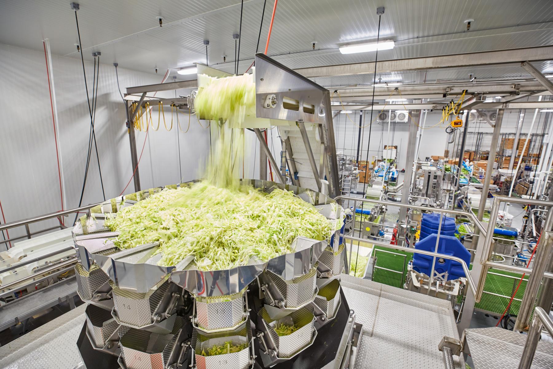 BIX Produce Food Processing Ryan Companies