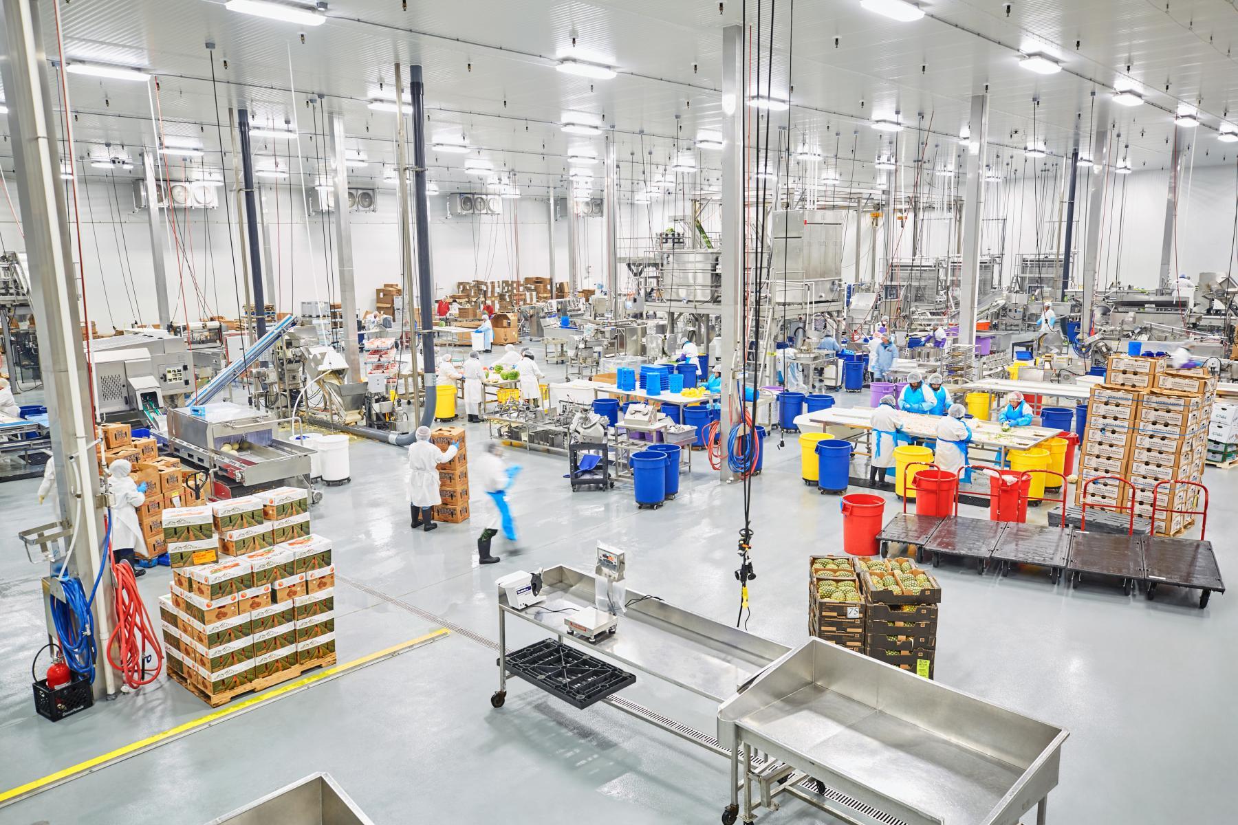 BIX Produce Food Processing Ryan Companies