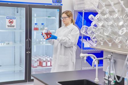 TÜV SÜD Blood Compatibility Test