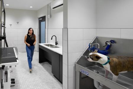 4th & Park Pet Wash Station