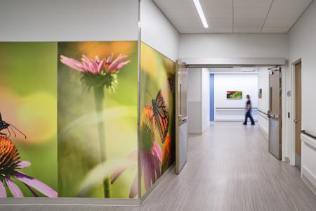 Mercy Medical Center Hospital ED Hall with Art