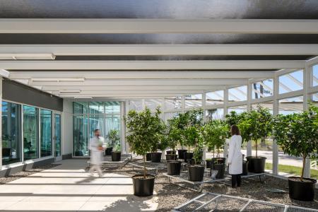 IFF Garden