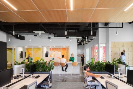 IFF Office