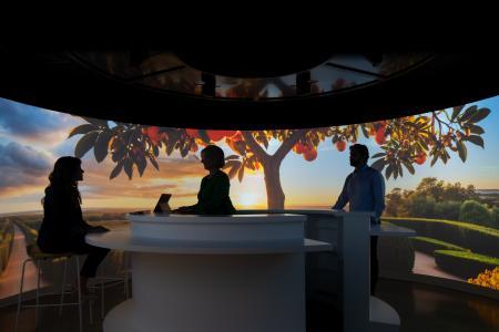 IFF Sample Room